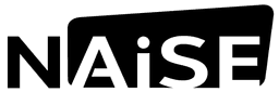NAiSE Logo