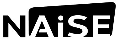 NAiSE Logo